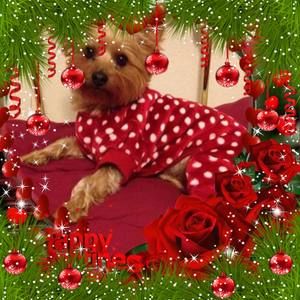 Meet your Posher, Connie